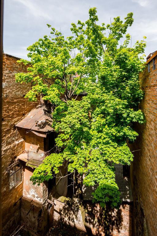 Nice Apartment Near Rynok Square Є Кондиціонер Світла Не Вимикали Lviv Exterior photo