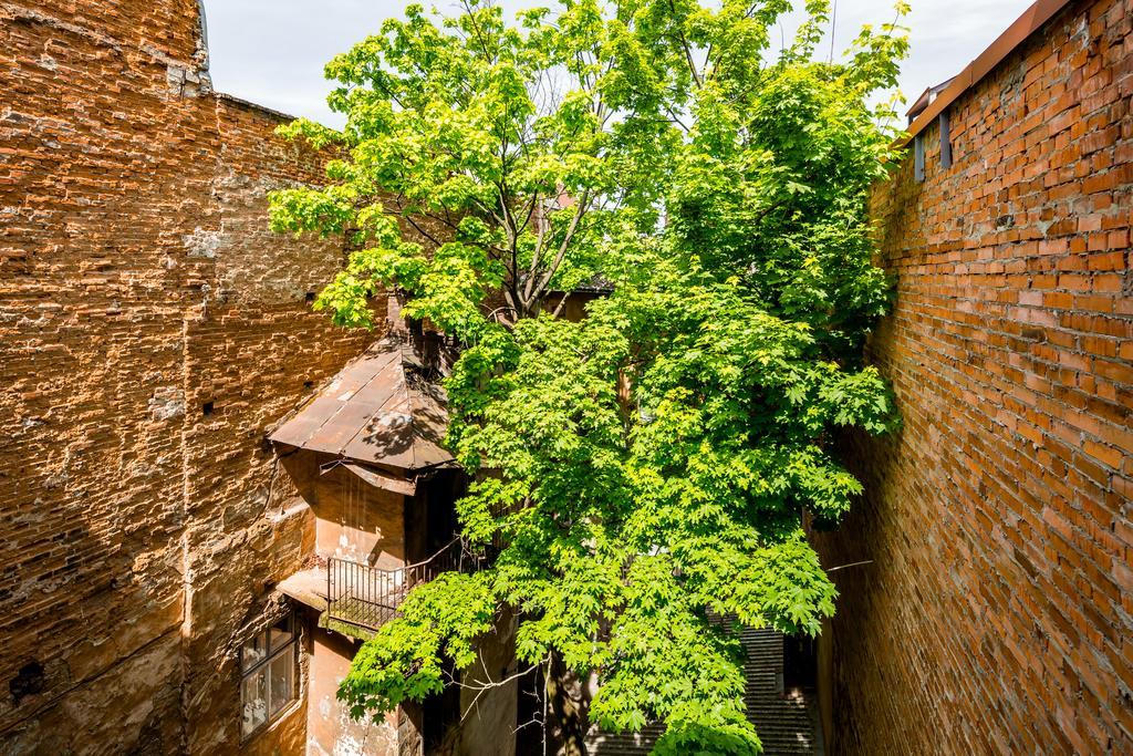 Nice Apartment Near Rynok Square Є Кондиціонер Світла Не Вимикали Lviv Exterior photo